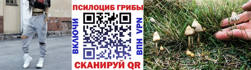 Галлюциногенные грибы MAGIC MUSHROOMS  где продают   shop состав  Нурлат 